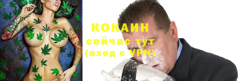 купить  сайты  Арамиль  Cocaine VHQ 